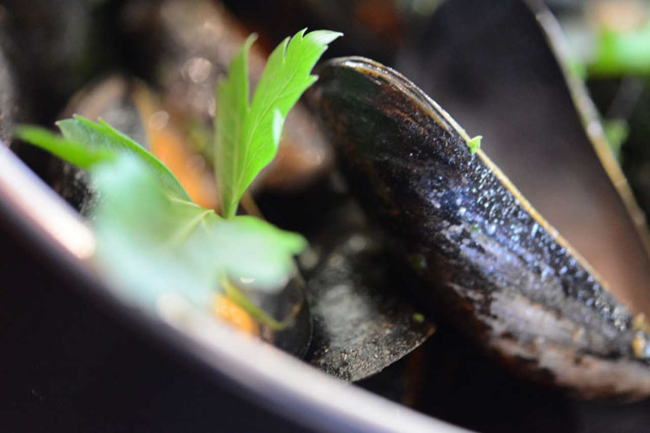 Photo de l'établissement La Rocadine