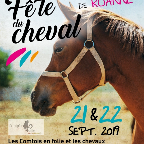 Fête du cheval roannaise