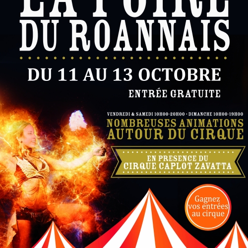 Foire du roannais